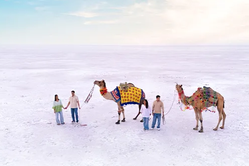 Kutch Rann Utsav Tour Package Gujarat