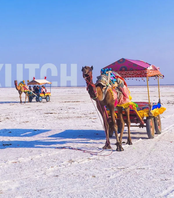 Kutch Rann Utsav Package